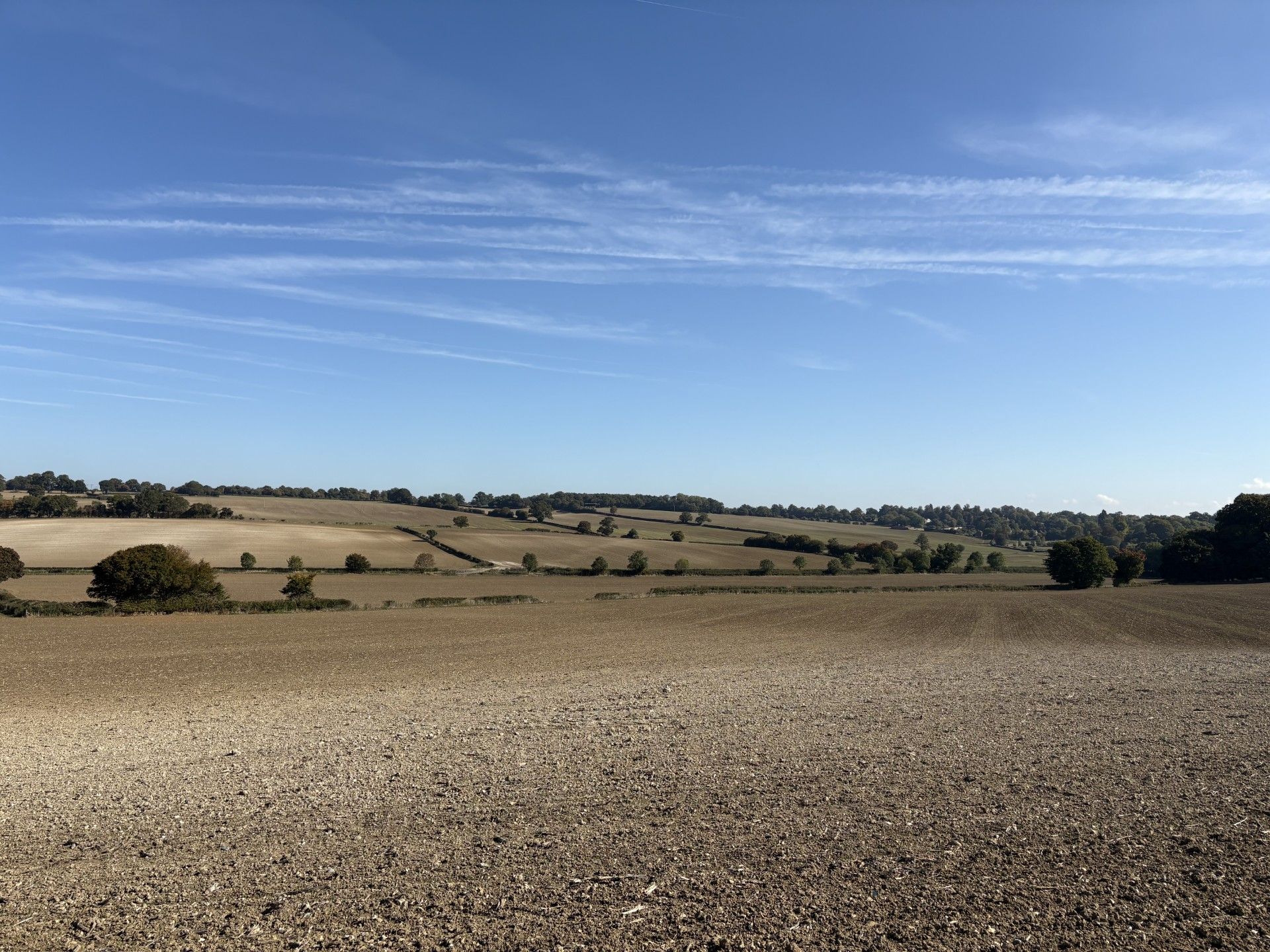 open view